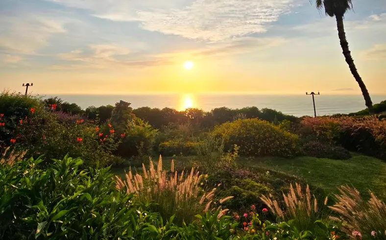 Costa Verde de Lima: La Guía Imprescindible de Miraflores