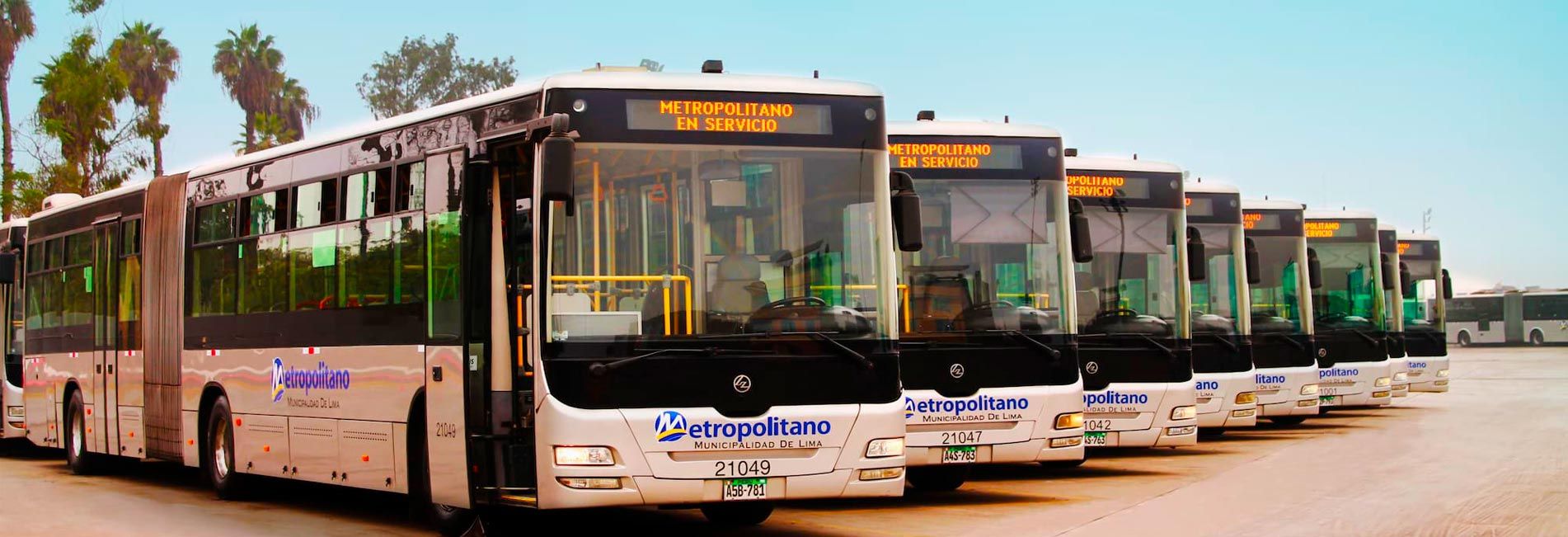 Conoce Lima Vieja con Metro-bus: Rápido y Barato