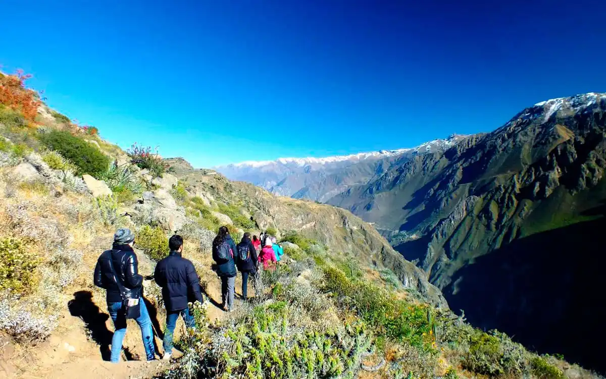 Tour de 1 día al cañón del Colca + baños termales